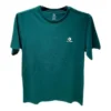 Camiseta Go-To com Estampa de Estrela e Chevron, Corte Padrão, Tamanhos Asiáticos “Verde”