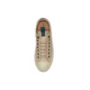 Chuck Taylor All Star “Bege Castanho”