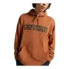 Chuck Taylor All Star Logo Namesake Hoodie Tamanhos asiáticos “Khaki”
