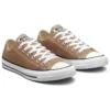 Chuck Taylor All Star Low Canvas “Castanho”