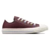 Chuck Taylor All Star Sapatos de Materiais Mistos “Eternal Earth”