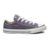 Chuck Taylor All Star Seasonal Low Top “Roxo Branco”
